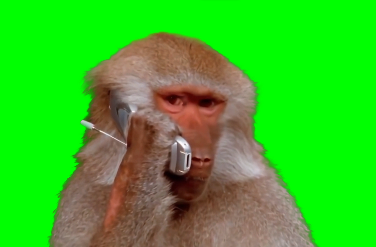 Monkey listening to music Cropped Green Screen Meme Template - A green