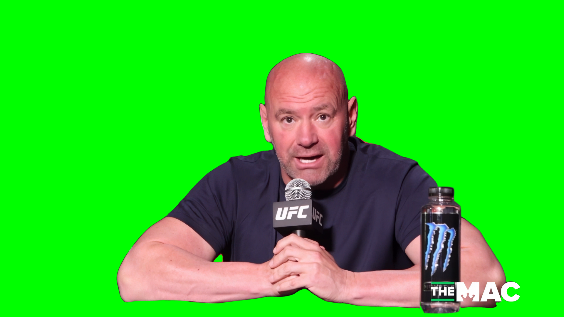 Dana White saying 