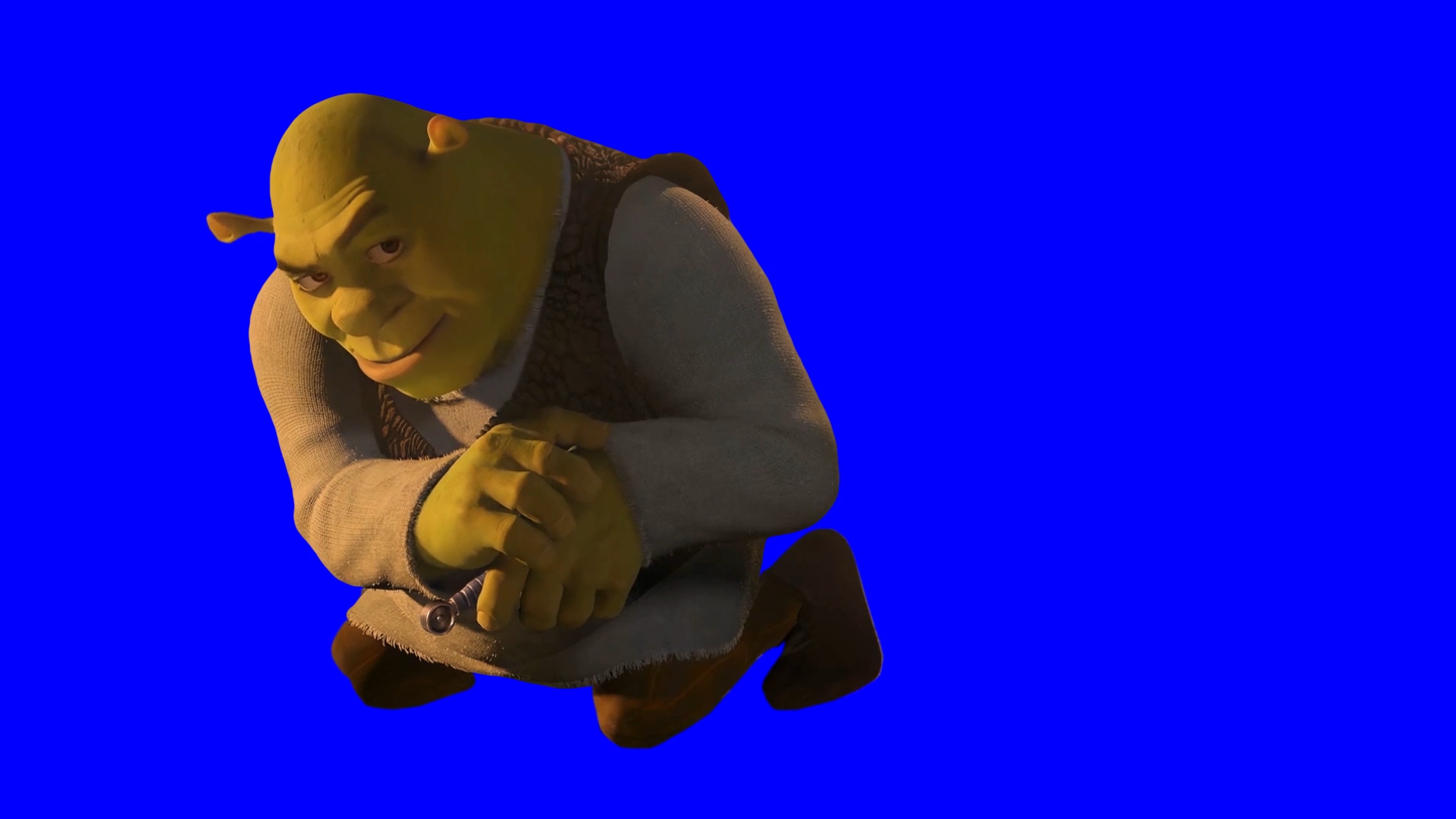 Shrek looking at you rizz meme - Shrek 3 (Green Screen) (Blue Screen)