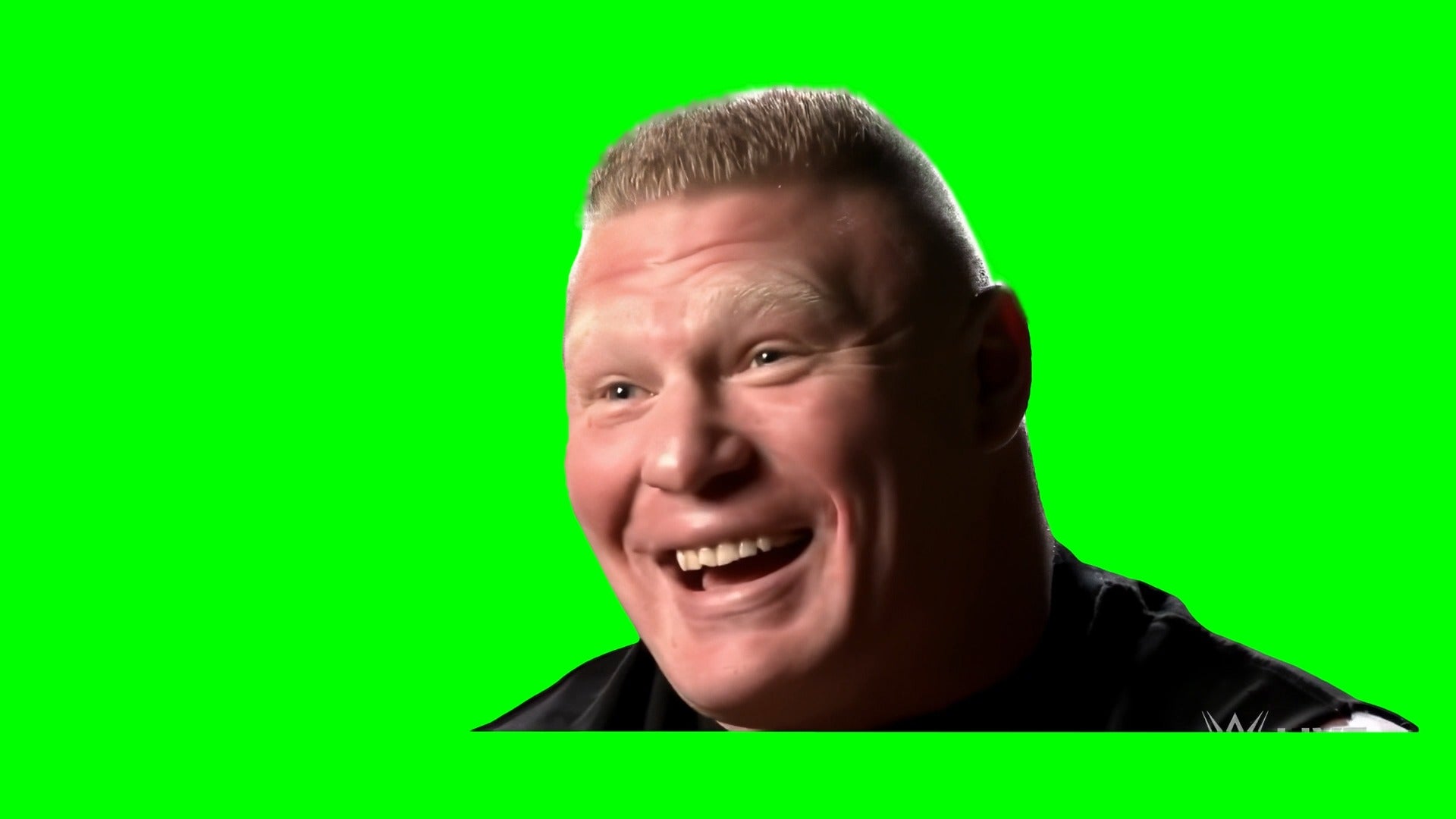 Brock Lesnar saying 