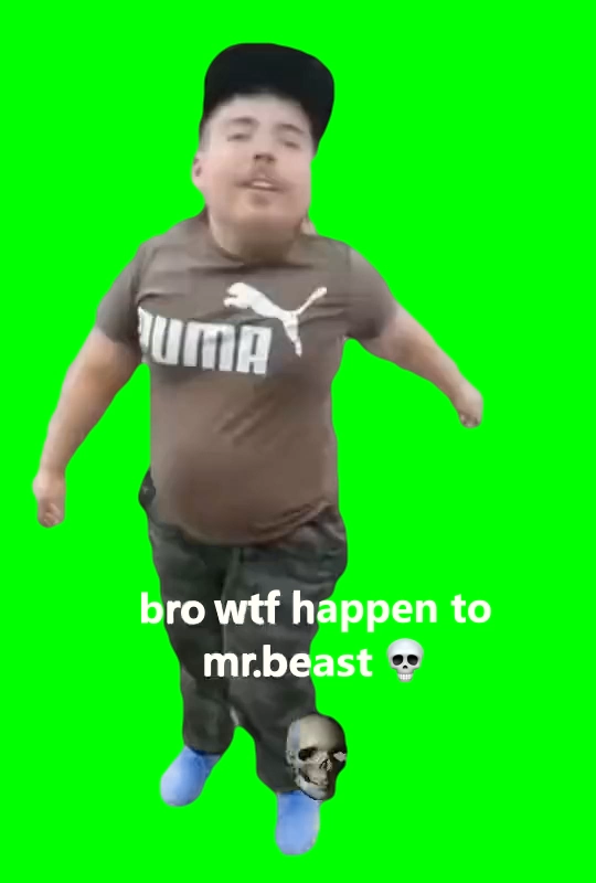Mr Beast Meme Green Screen FULL EXTENDED