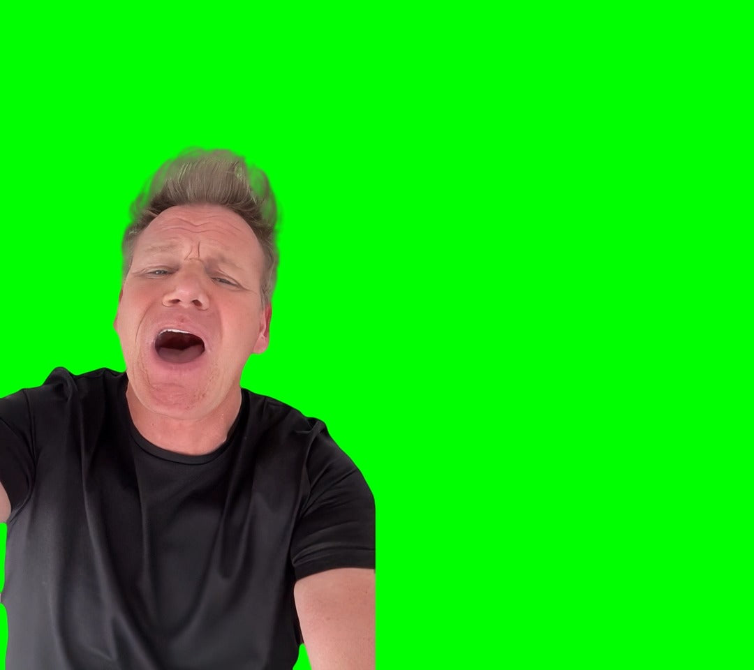 Gordon Ramsay screaming 