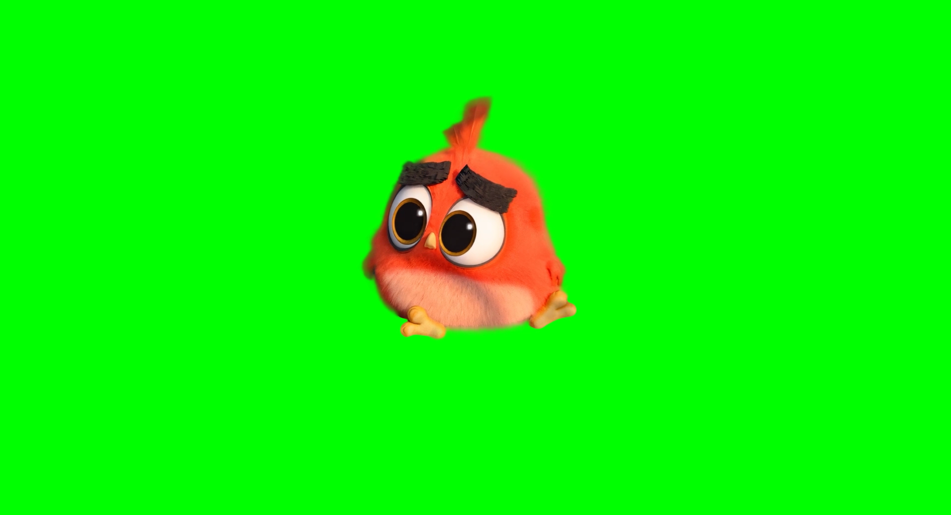 Lonely Red Angry Bird meme - The Angry Birds Movie 2 (Green Screen)