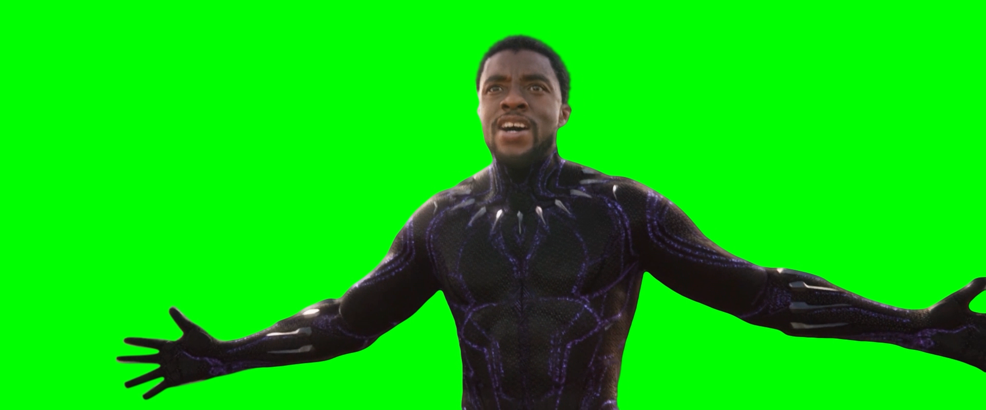 Black Panther - As you can see, I am not dead! (Green Screen)