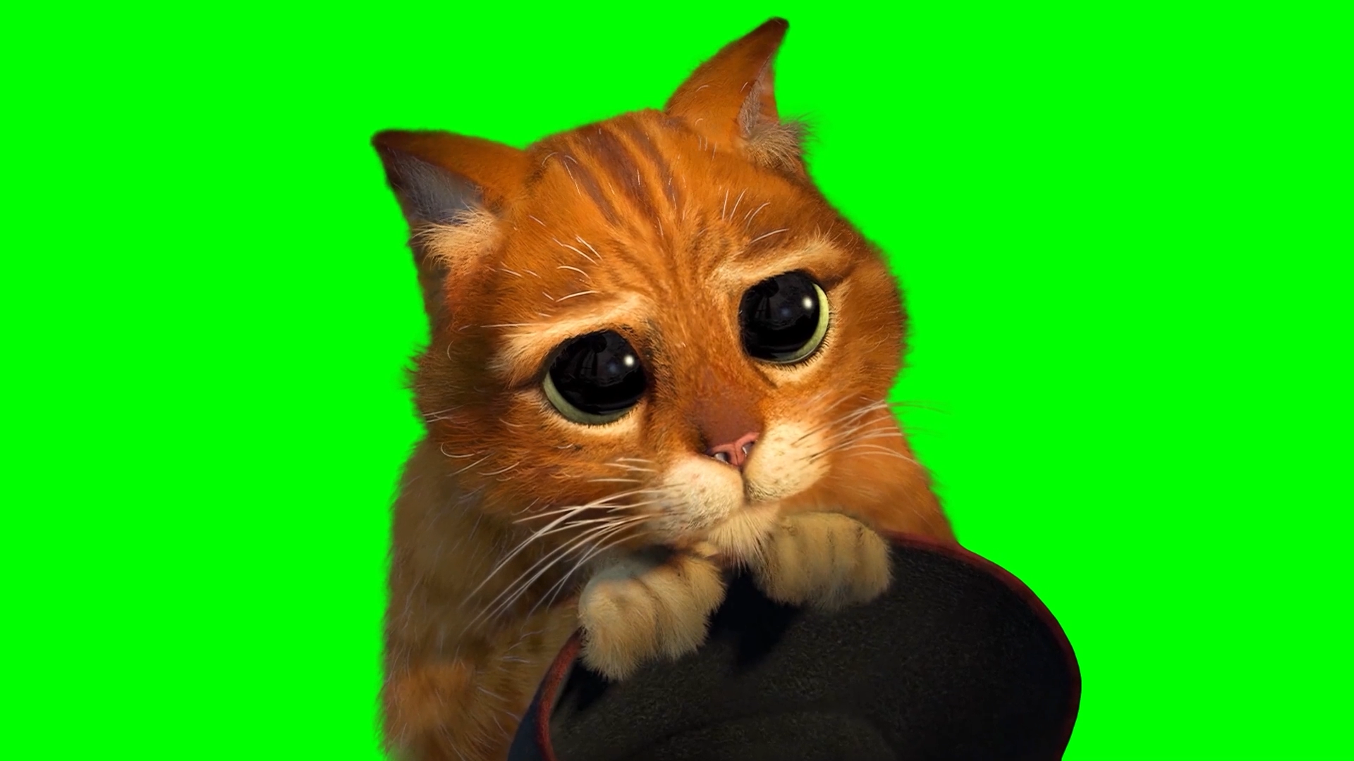 Puss in Boots Cute Cat Eyes - Shrek 2 (Green Screen)