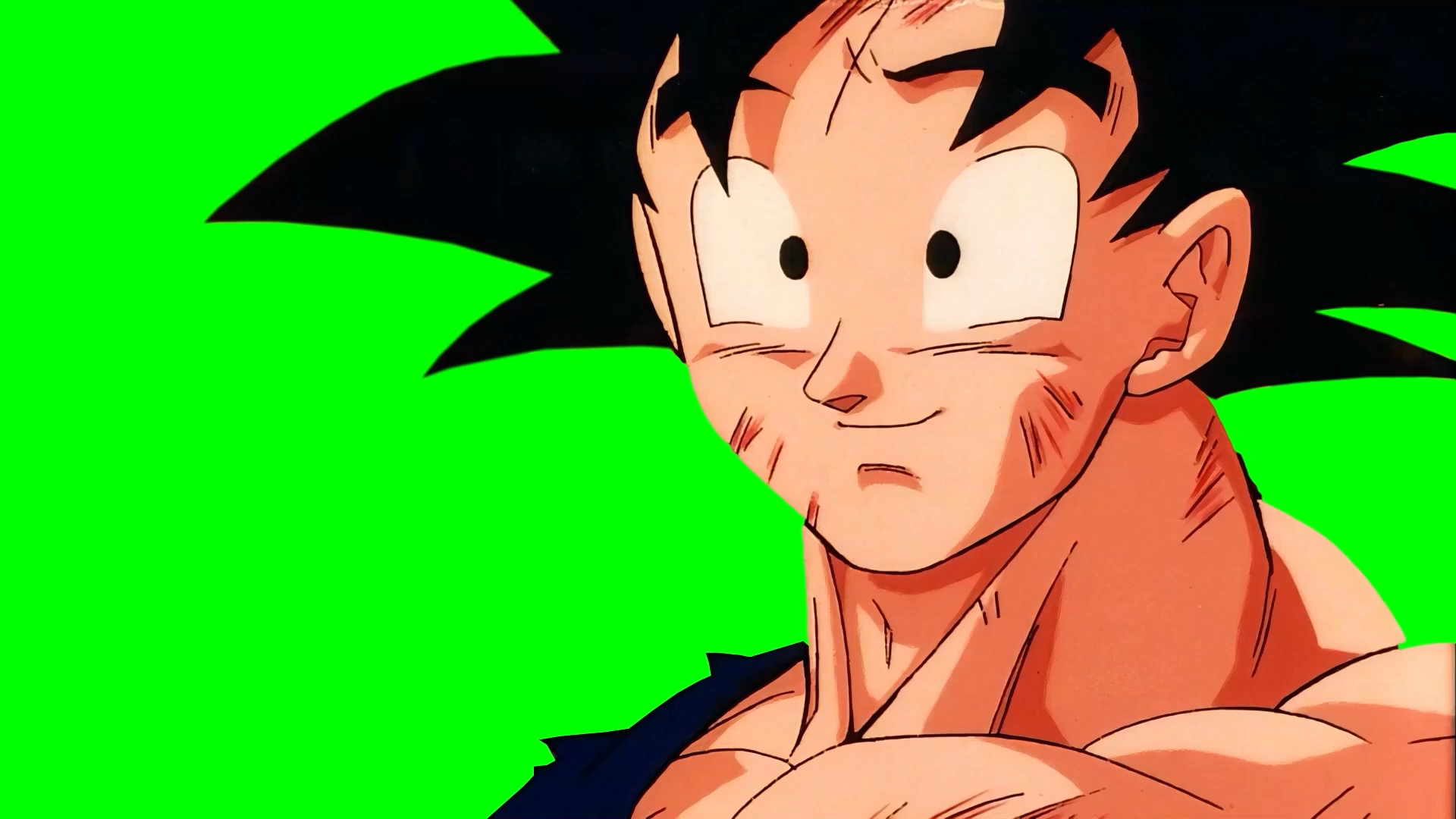 Goku thanks Vegeta and says goodbye - Dragon Ball Z: Fusion Reborn (Green Screen)