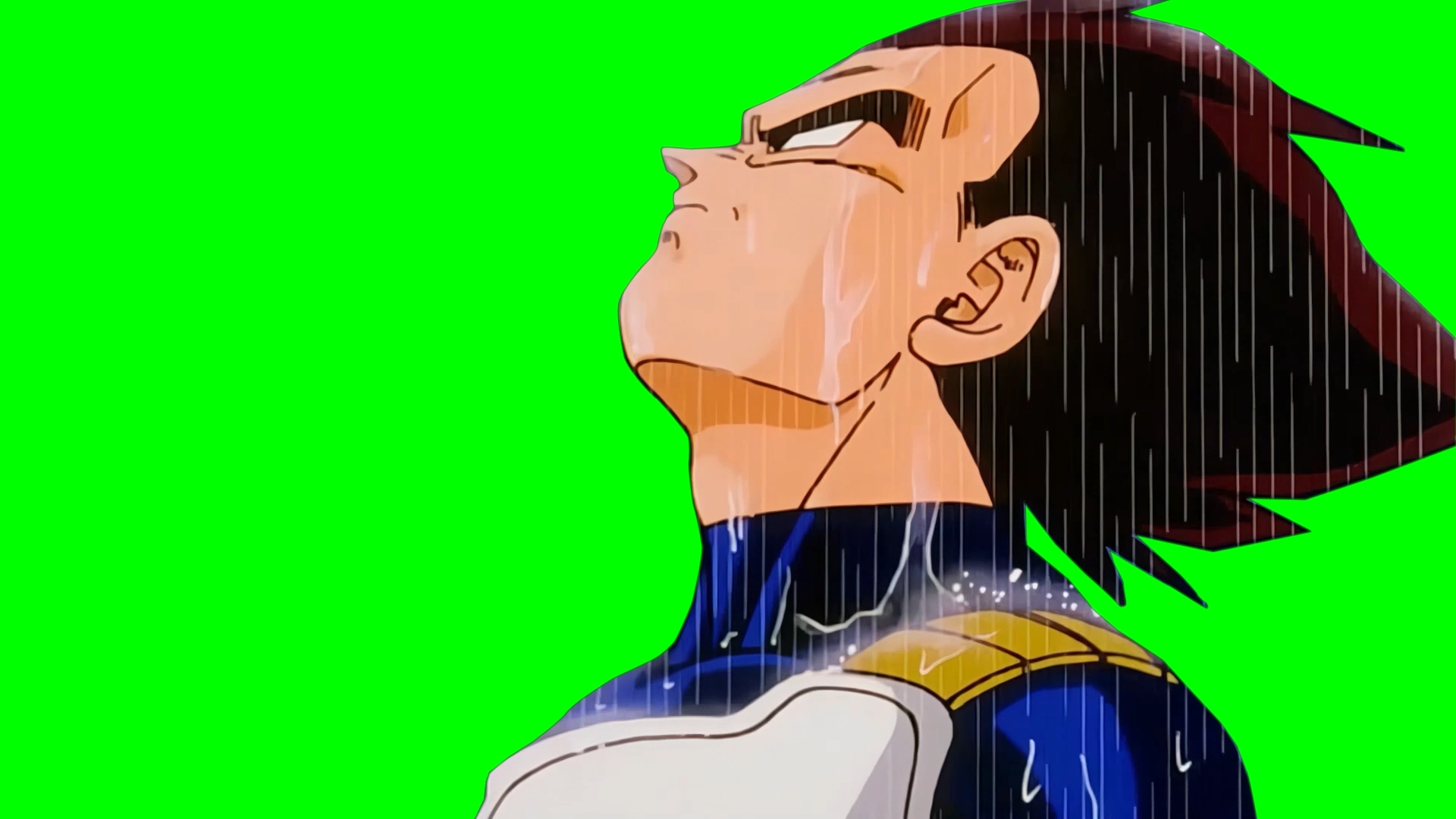 Vegeta standing in the rain - Dragon Ball Z  (Green Screen)