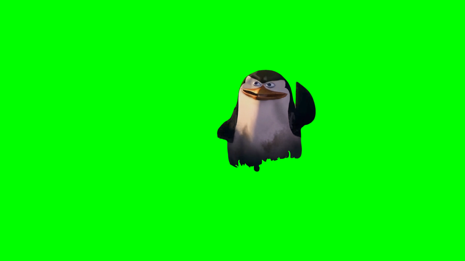 Madagascar - You Didn't See Anything! - Skipper Penguin meme (Green Screen)