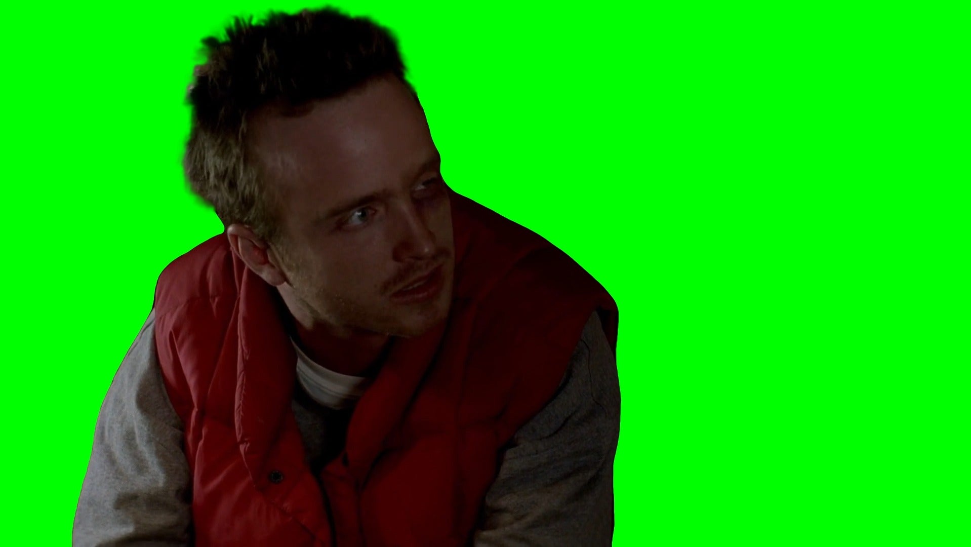Jesse Pinkman 