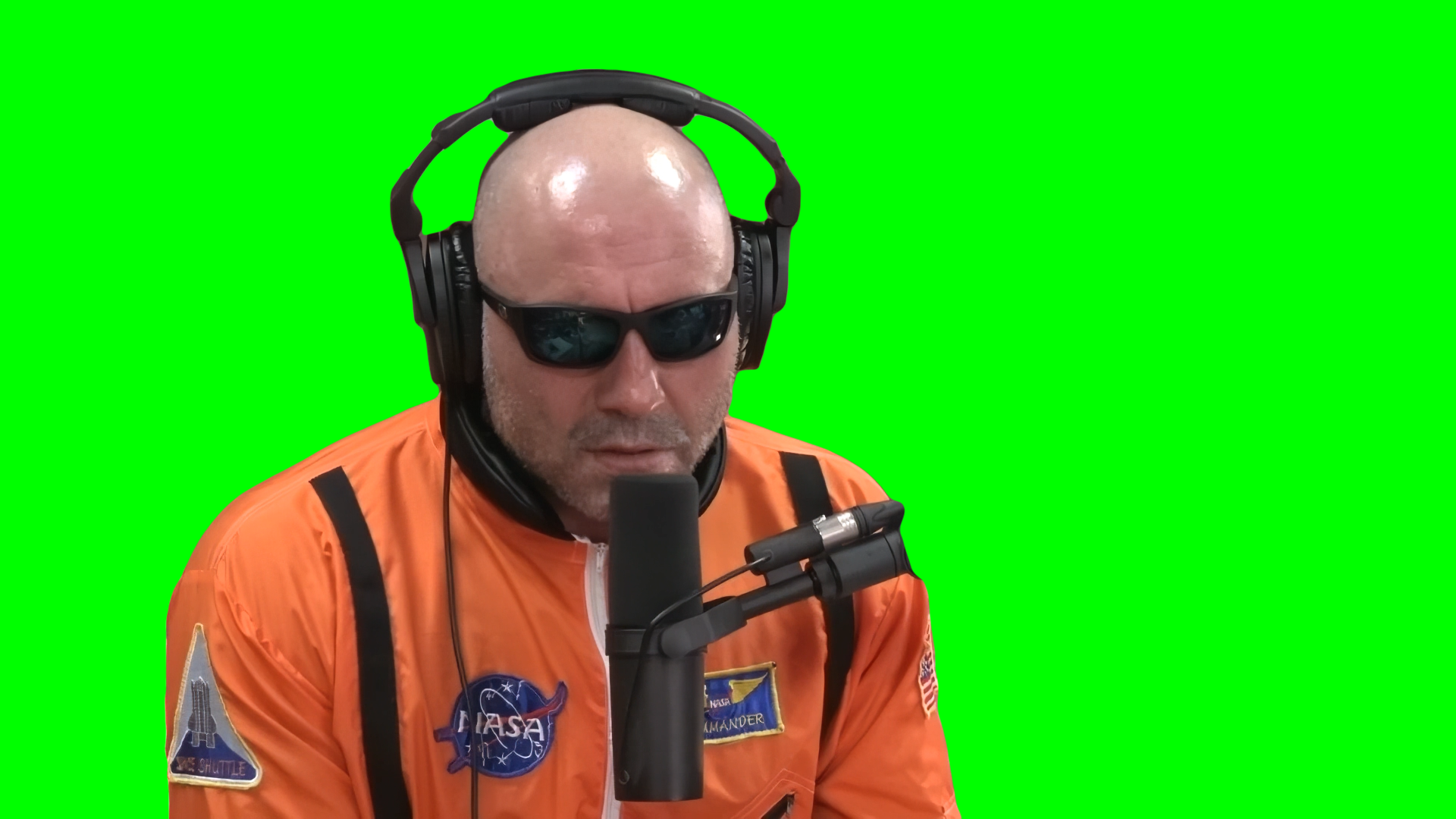 Joe Rogan Saying 