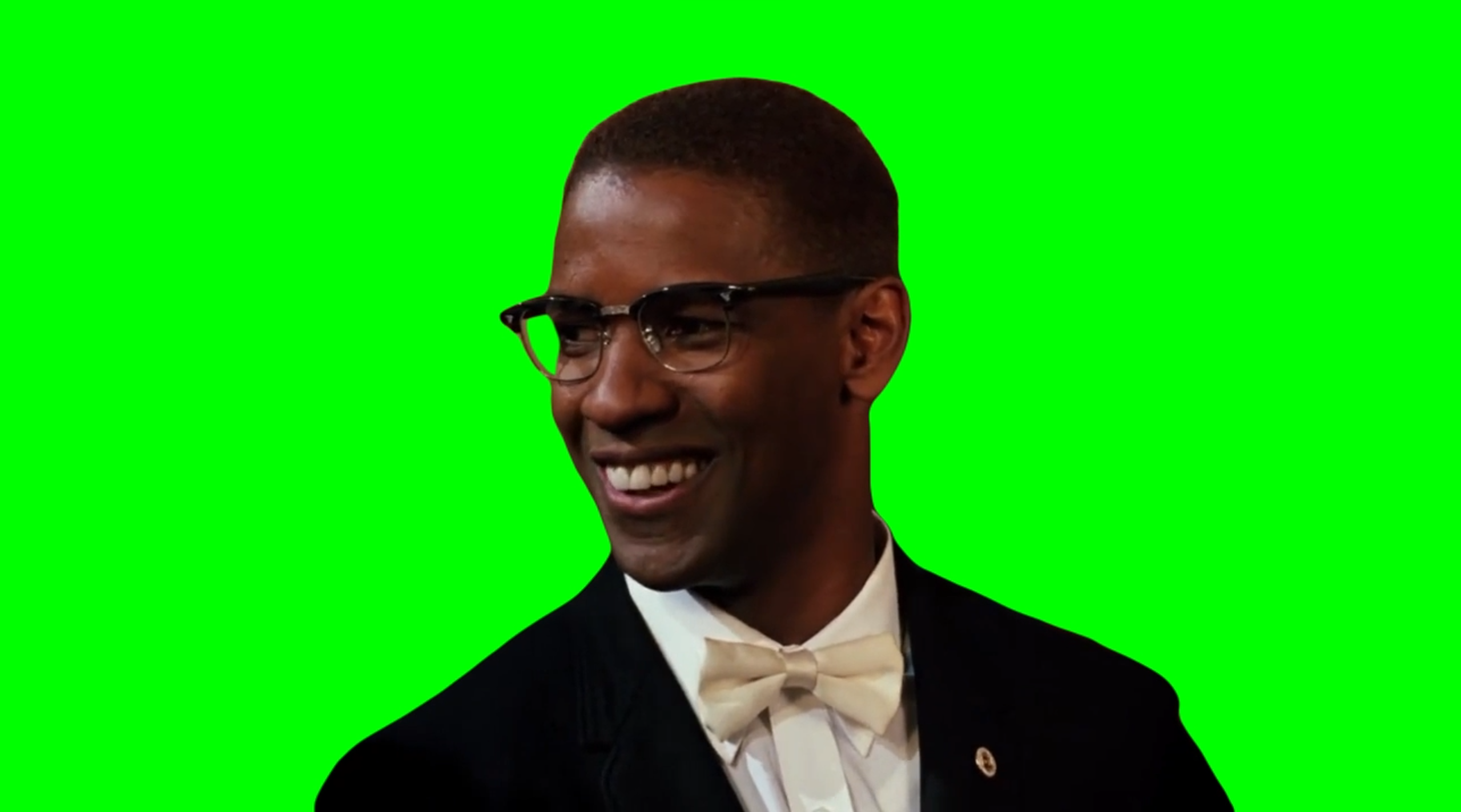 Malcolm X - Yeah that brother's starving meme (Green Screen)