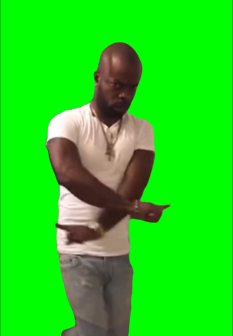 No no dance meme - Fly Guy Yagga (Green Screen)
