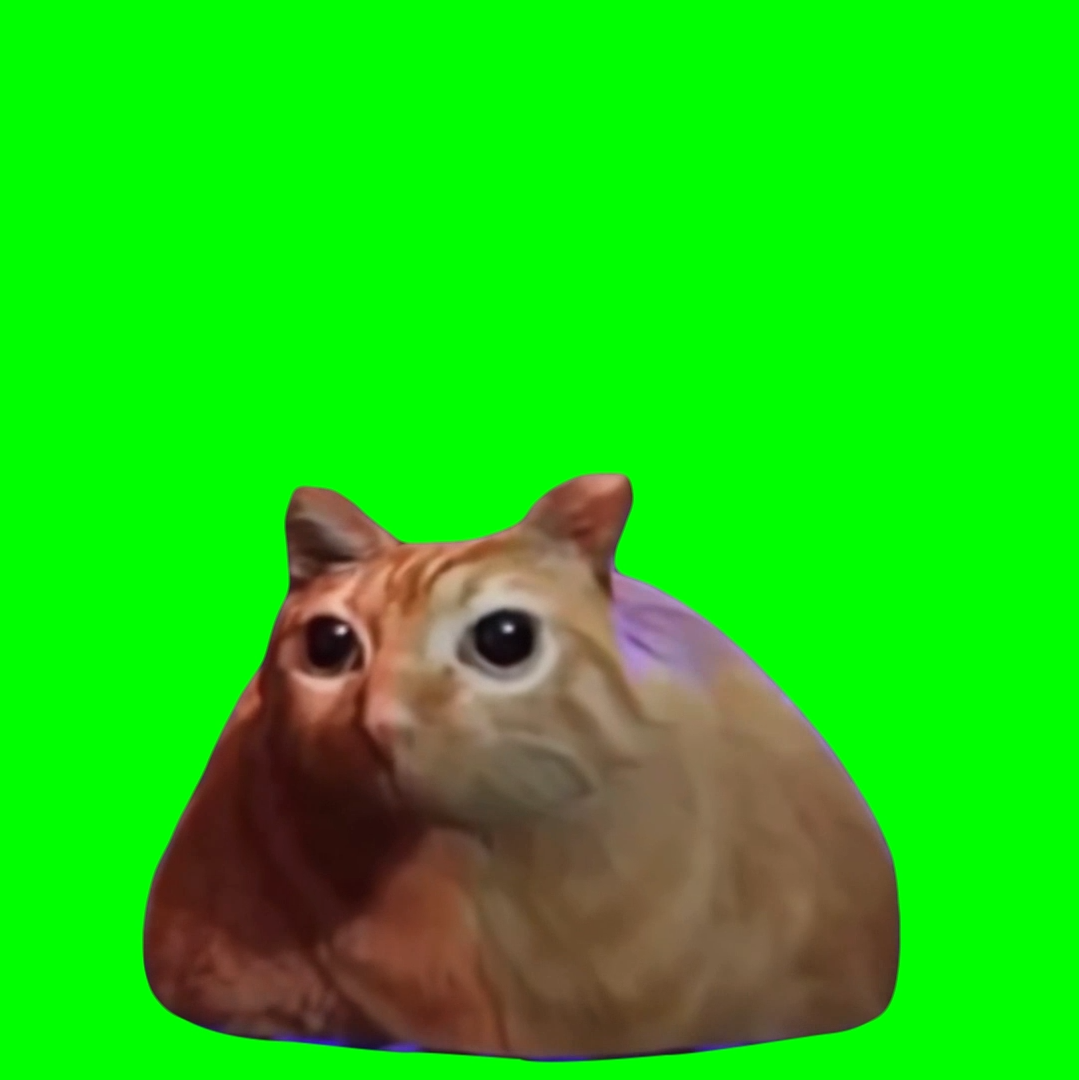 Cat car running away from police cars (Green Screen)
