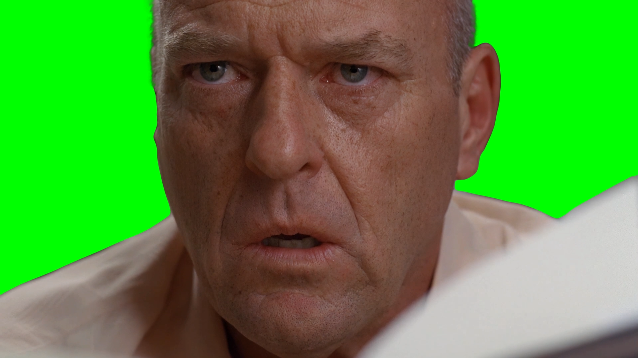 Hank Schrader reading a book in the toilet - Breaking Bad meme (Green Screen)