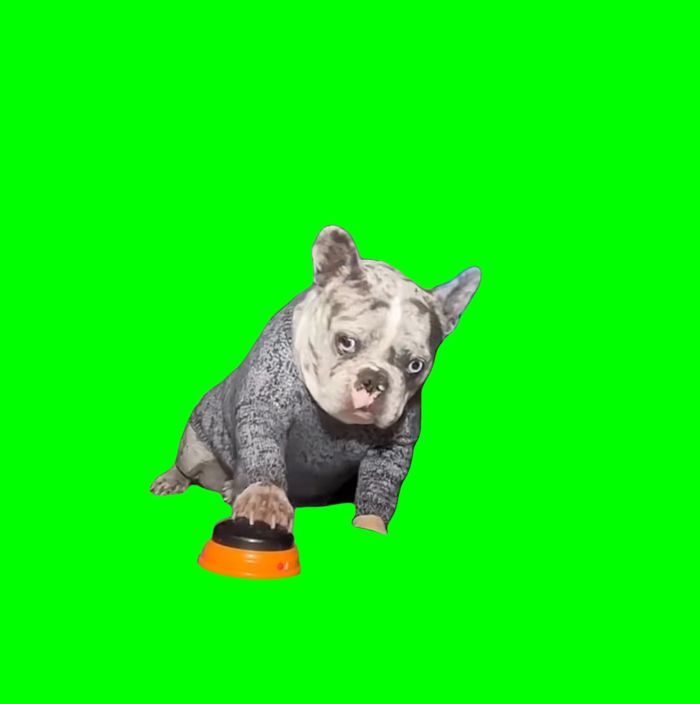 HELL NAW! Dog meme (Green Screen)
