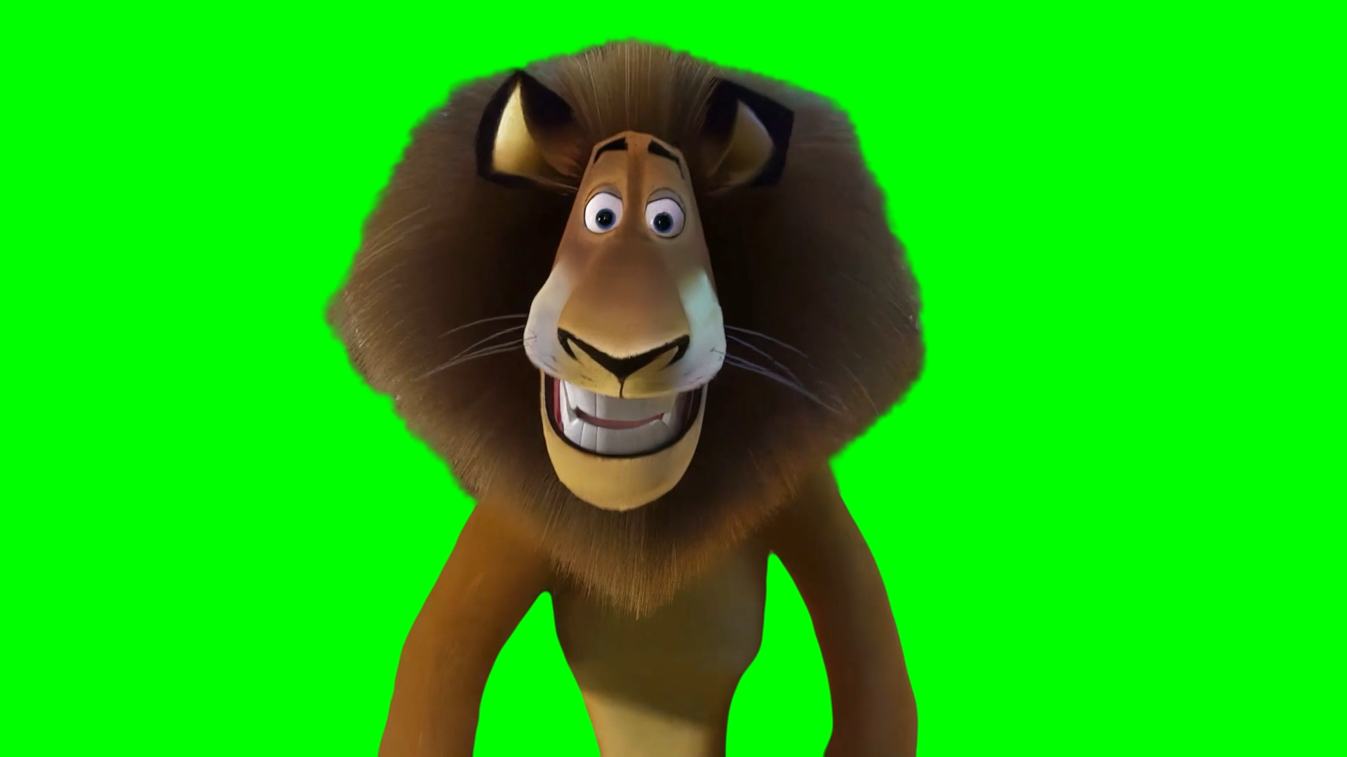 Madagascar Mort crying meme - Alex the Lion saying 