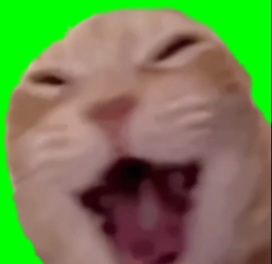 Cat Laughing Loudly meme (Green Screen)