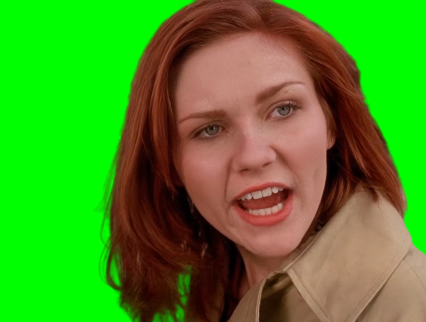 Mary Jane defending Peter Parker meme - Spider-Man (2002) movie (Green Screen)