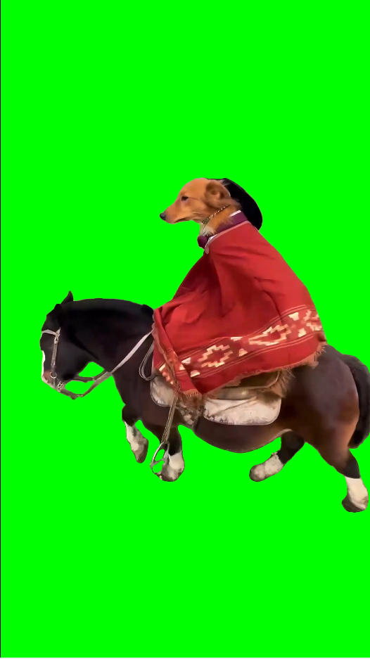 Mexican Dog riding a Horse meme (Green Screen)