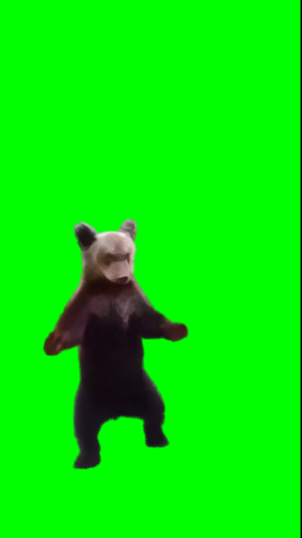 Kung Fu Bear meme (Green Screen)