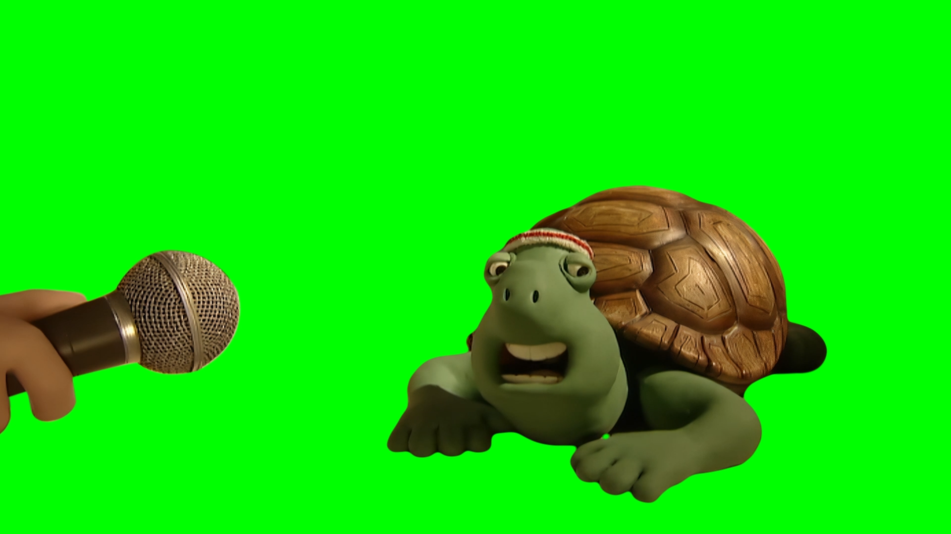 Turtle saying 