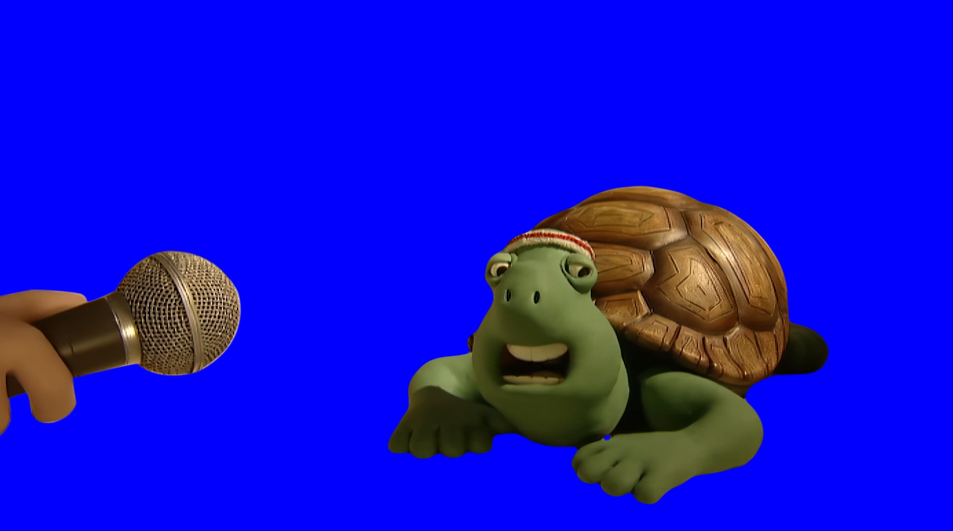 Turtle saying 