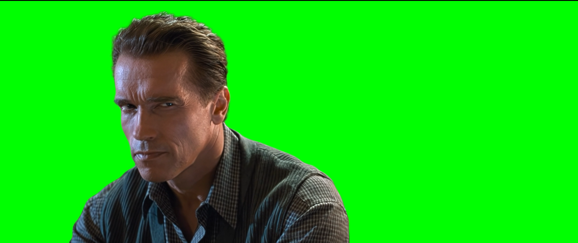 Arnold Schwarzenegger Stare meme - True Lies movie (Green Screen)