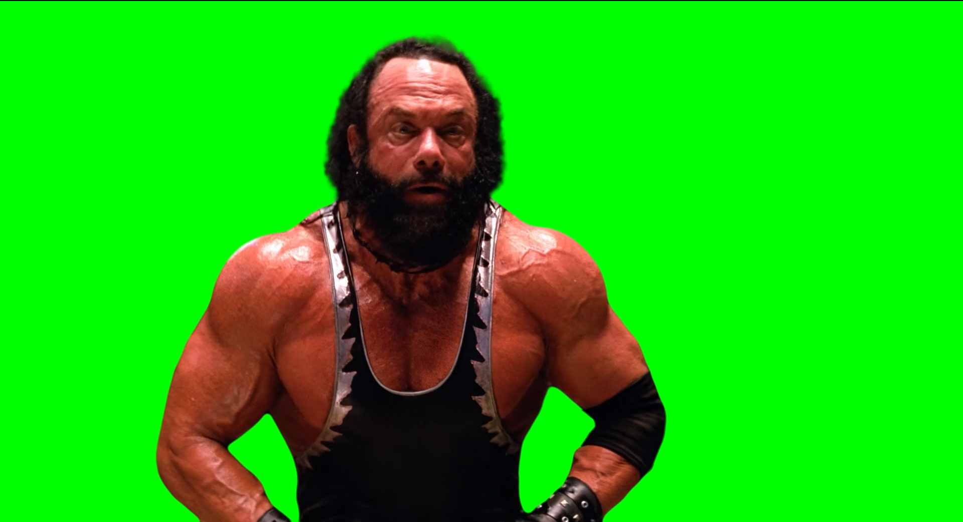 Bonesaw saying 