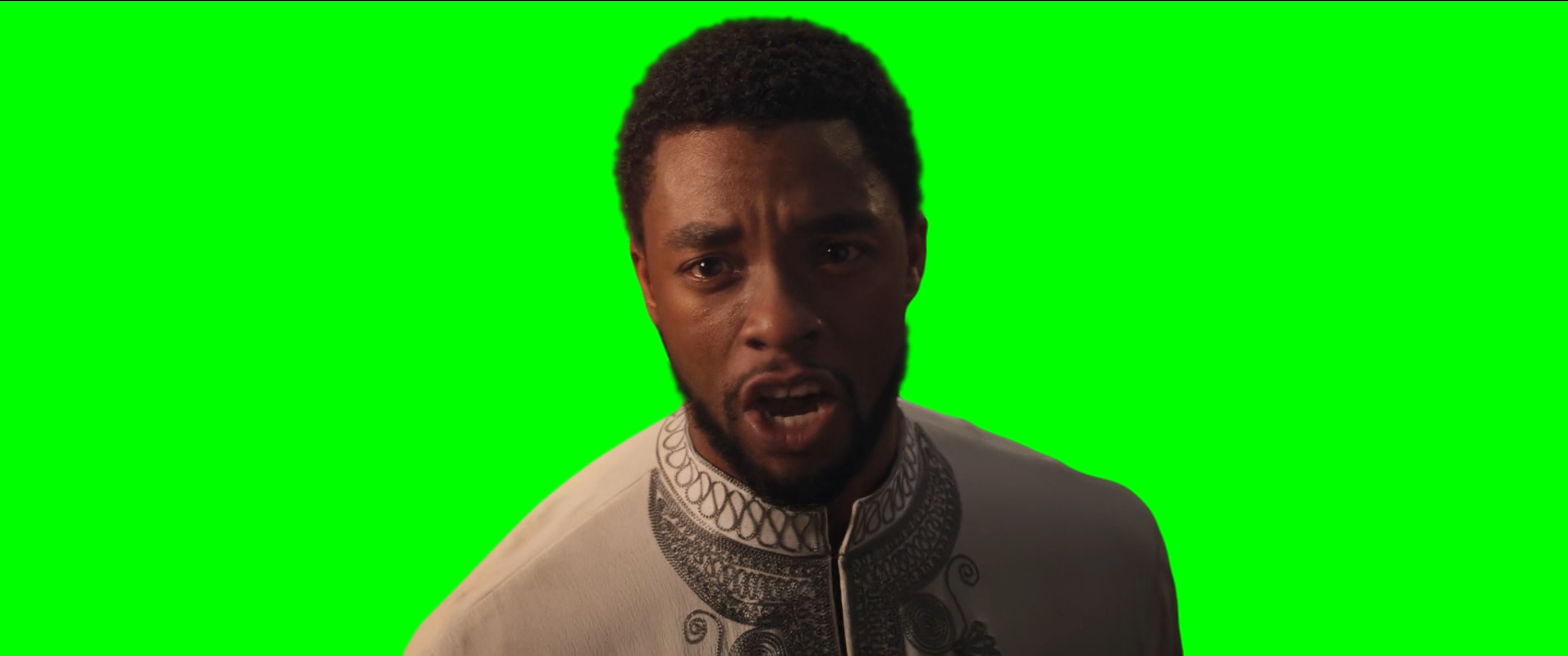 Black Panther saying 