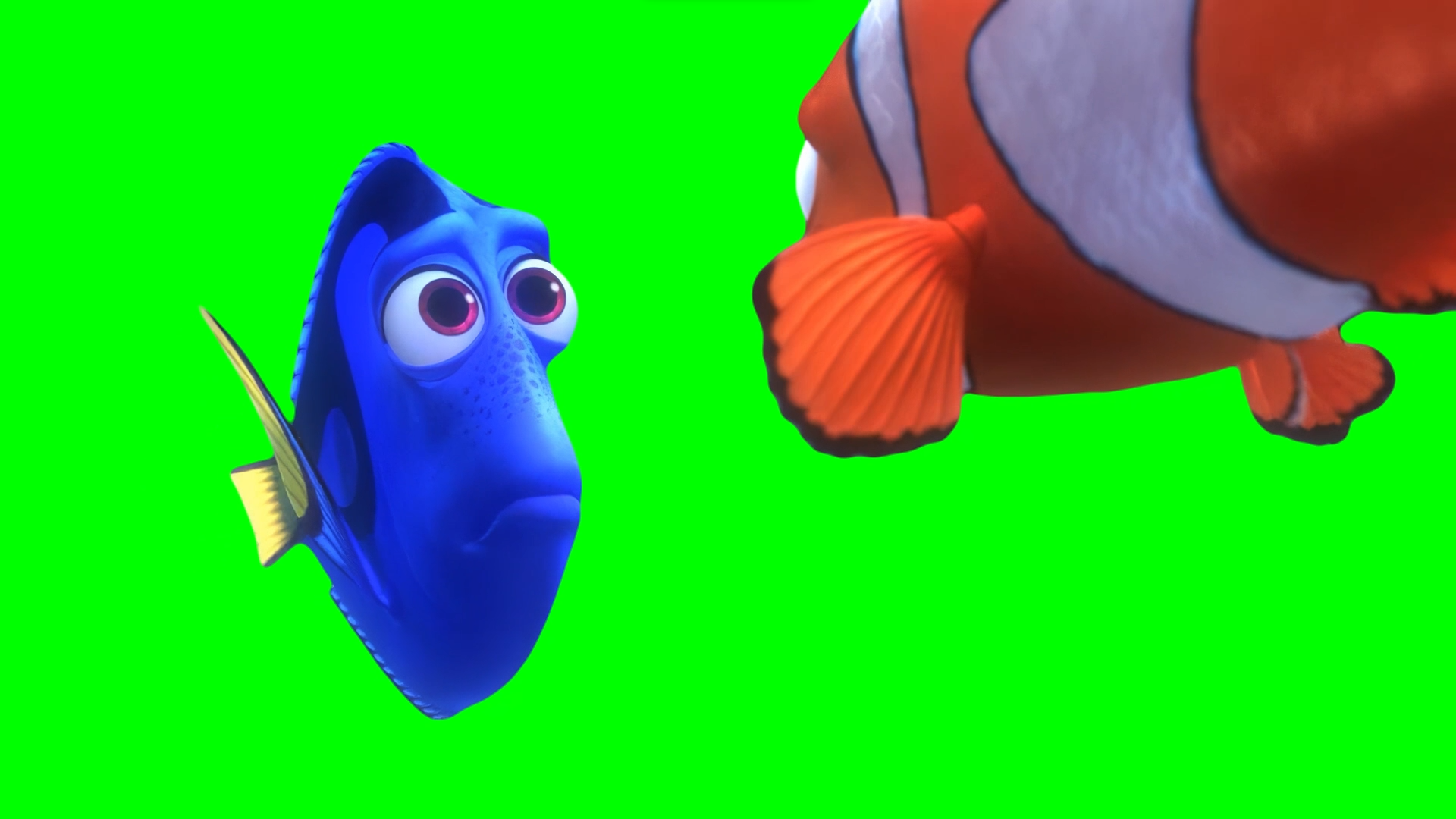 Dory saying 