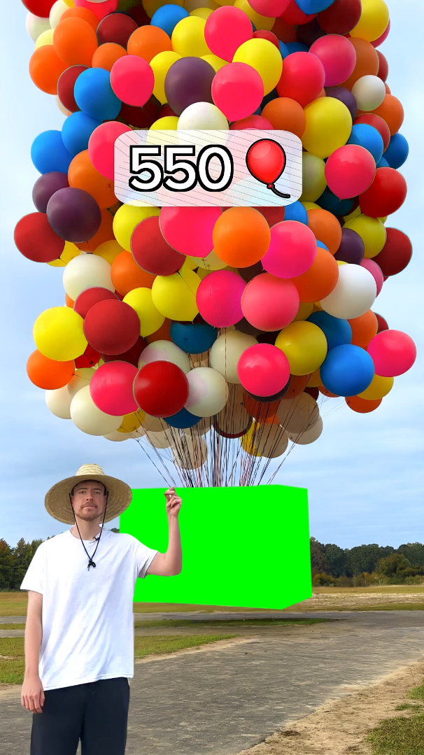 MrBeast making a House fly using Balloons meme (Green Screen)