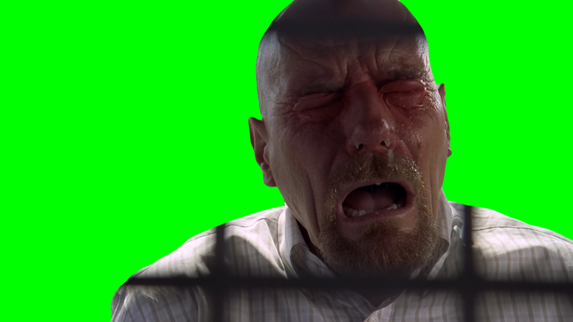 Walter White Pepper Crying after getting Pepper Sprayed meme - Breaking Bad (Green Screen)