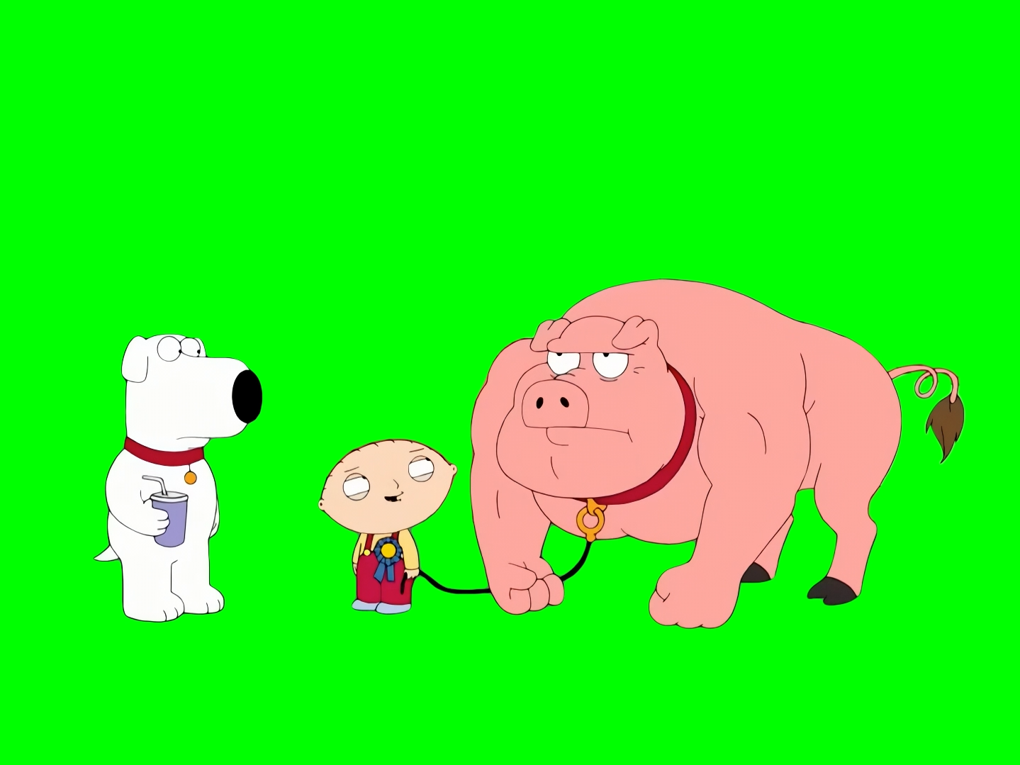 Stewie Griffin's Pig on Steroids Punches Brian Griffin meme - Family Guy (Green Screen)