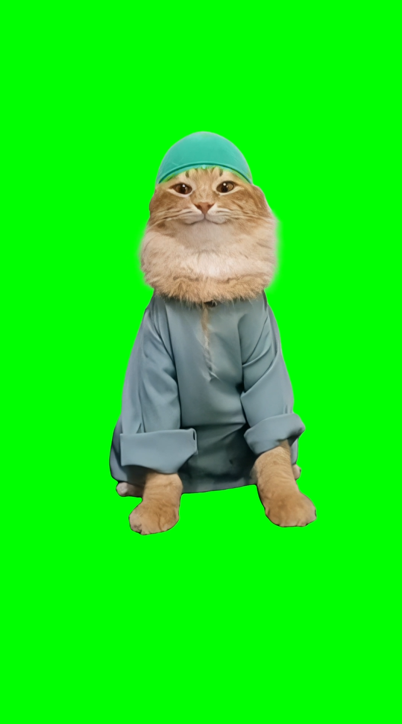 Happy Muslim Cat with Green Cap meme (Green Screen)