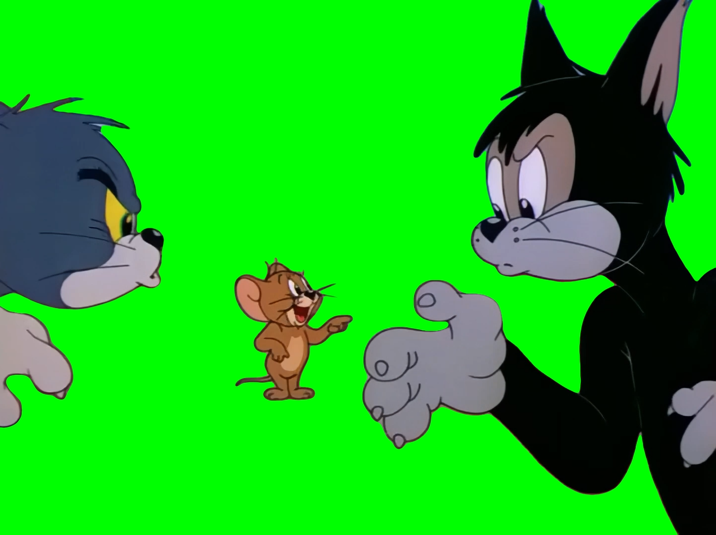 Jerry choosing between Tom and Butch meme - Tom and Jerry (Green Screen)