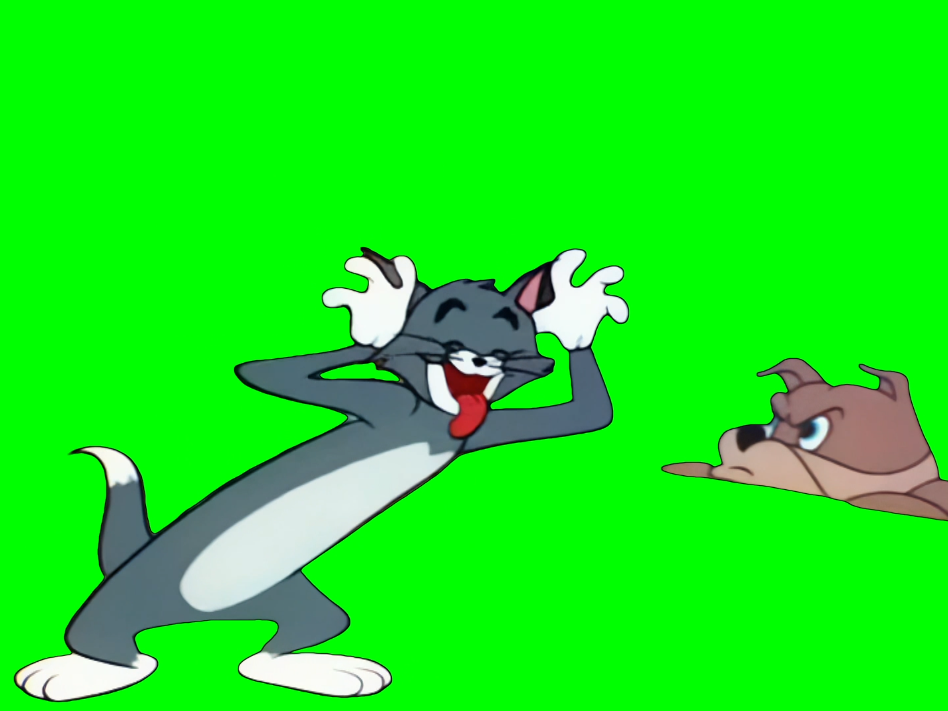 Tom Making Silly Faces meme - Tom and Jerry (Green Screen)