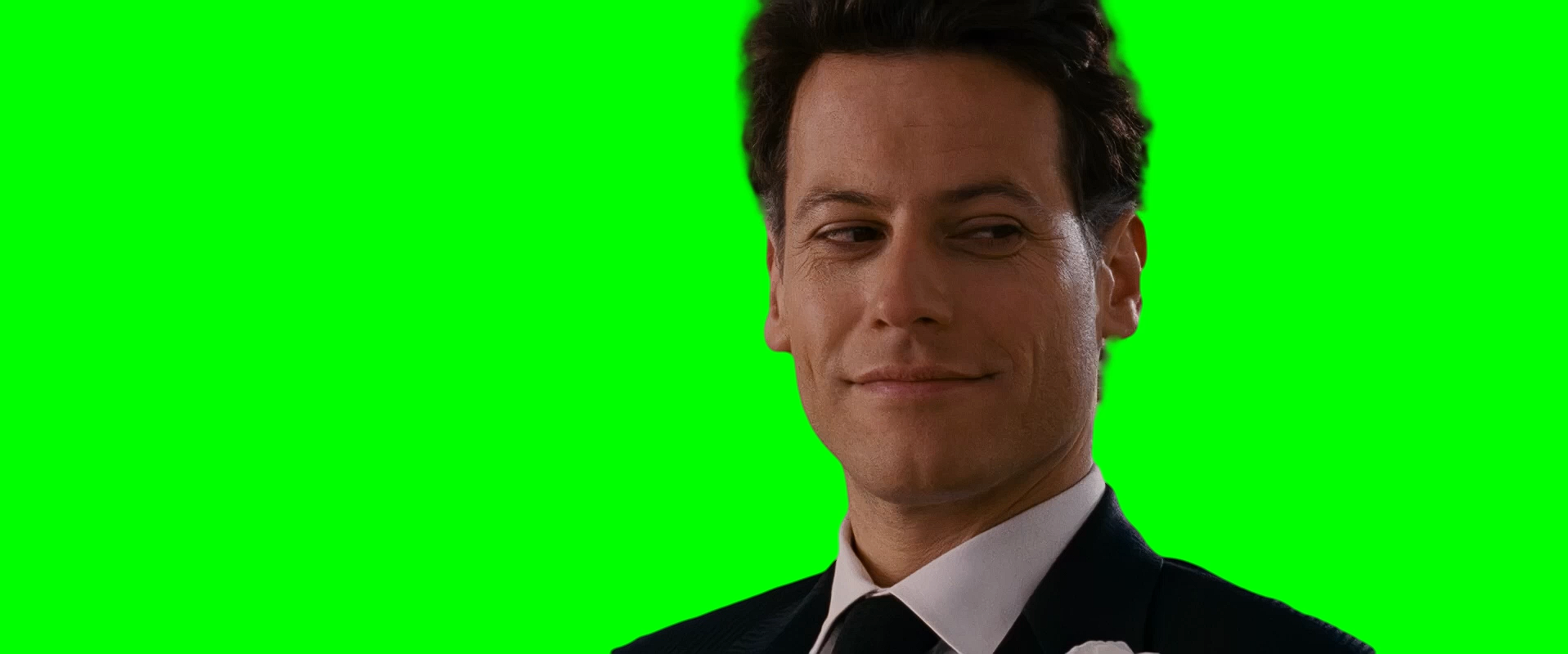 Reed Richards Using Phone During Wedding meme V2 (Green Screen)