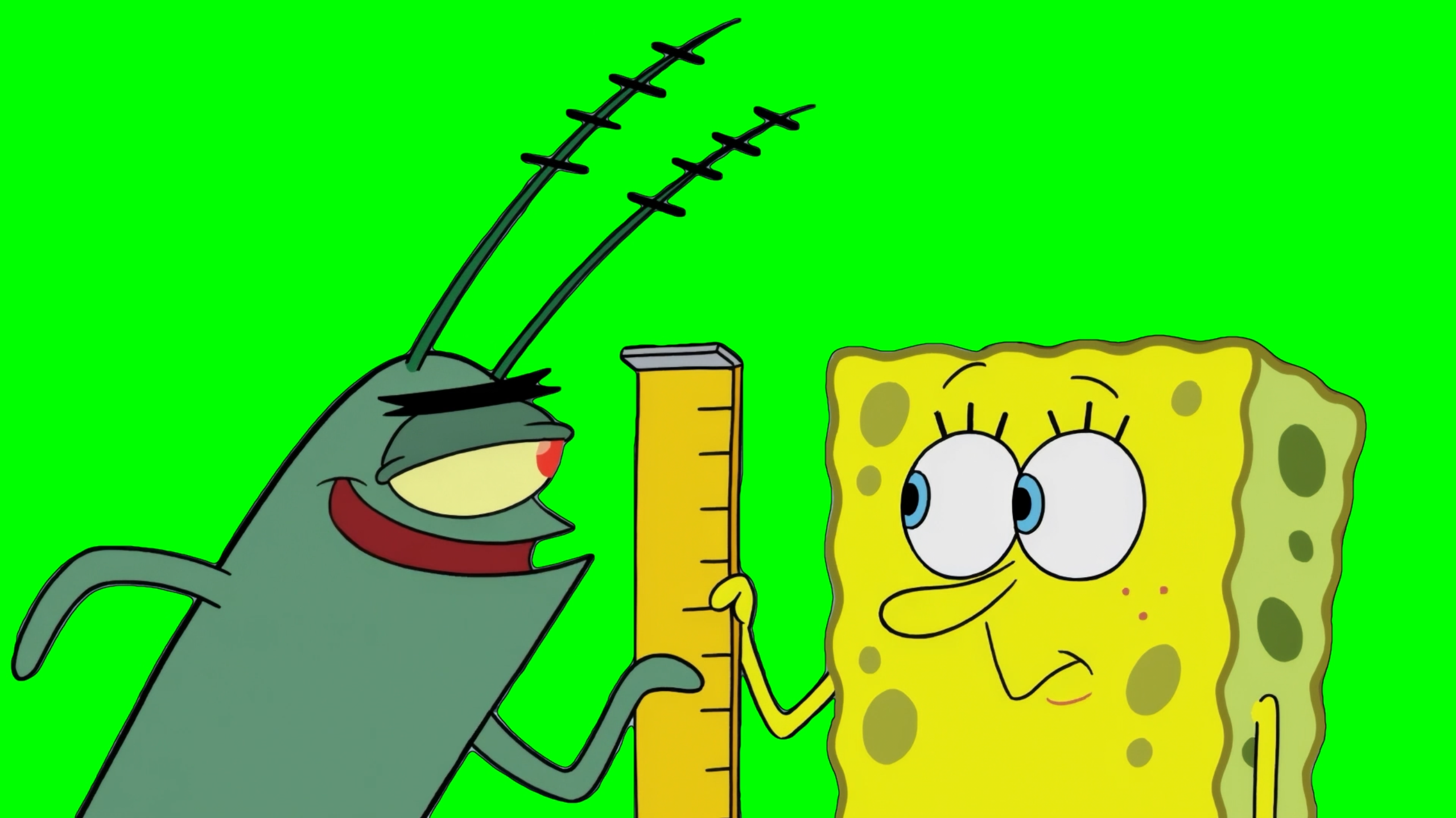 Plankton 