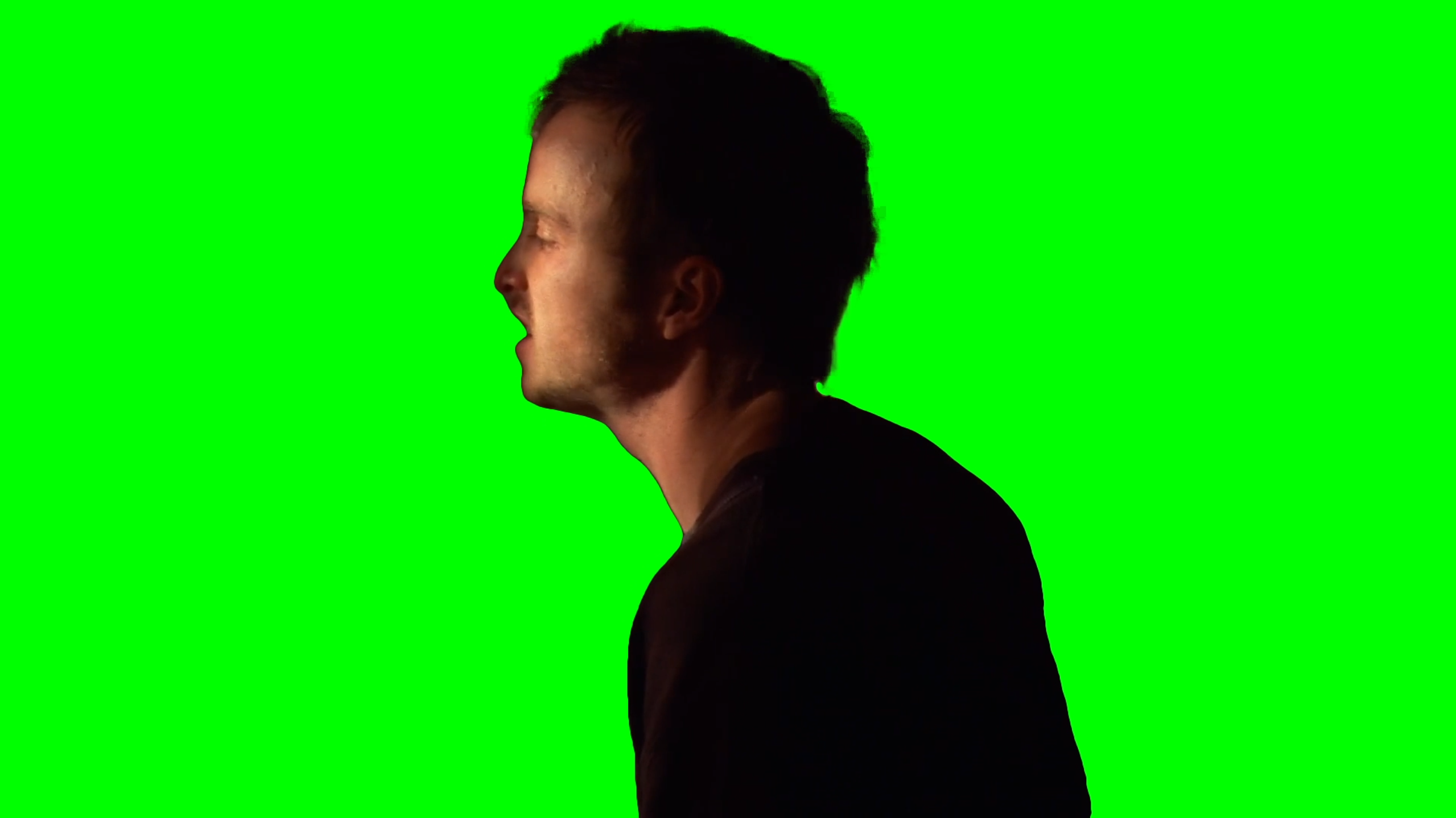 Jesse Pinkman 