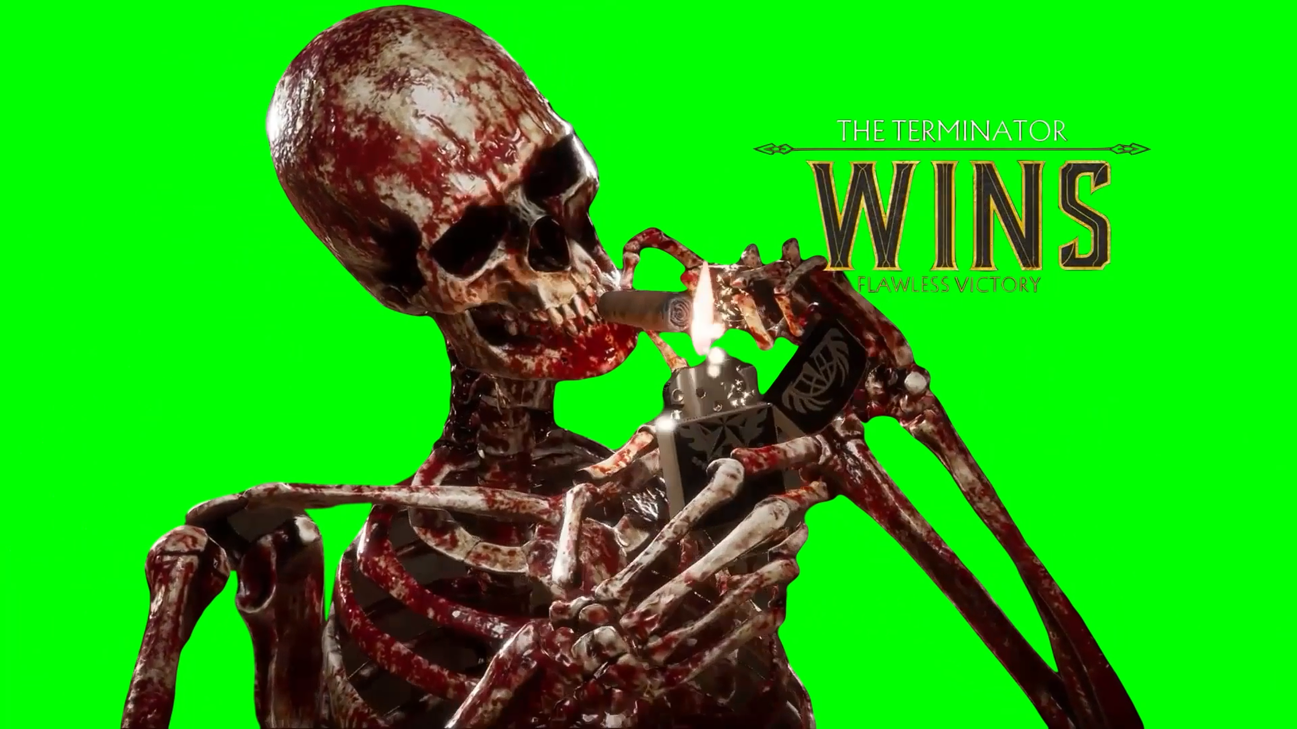 Skeleton Smoking Cigar meme - MK11 Terminator Wins (Green Screen)