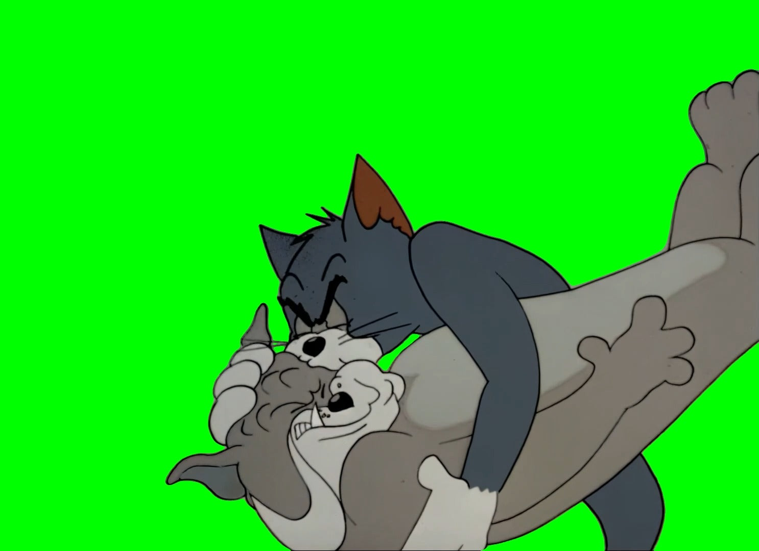 Tom Kissing Spike meme - Tom and Jerry (Green Screen)