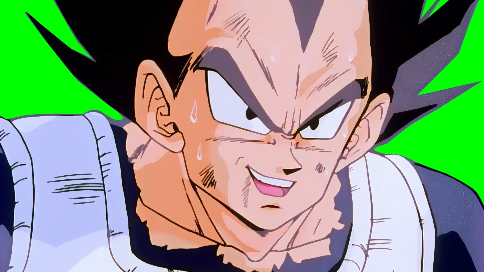 Vegeta saying “KAKAROT, YOU DOG! YOU DID IT!