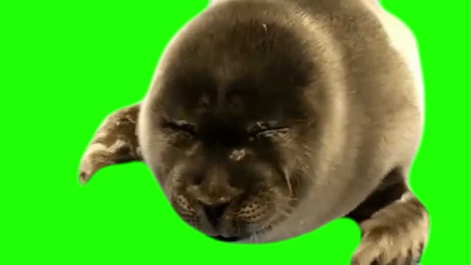 Crying Seal (Green Screen)