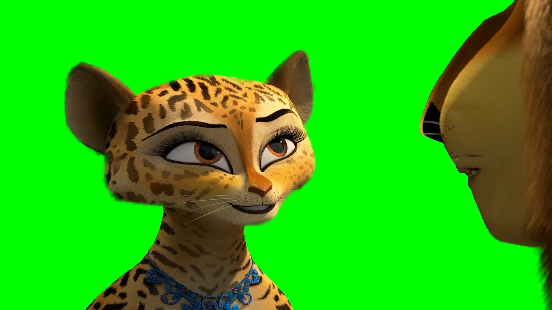 Madagascar 3 Show Me meme (Green Screen)