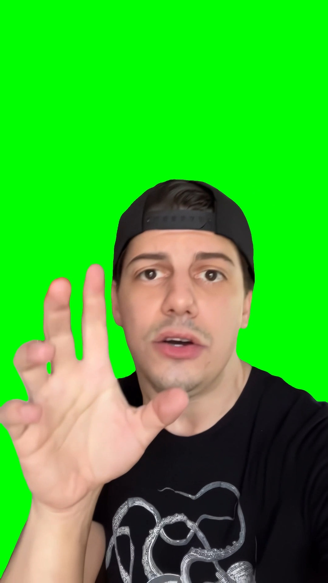 Go to Sleep Song meme (Green Screen)