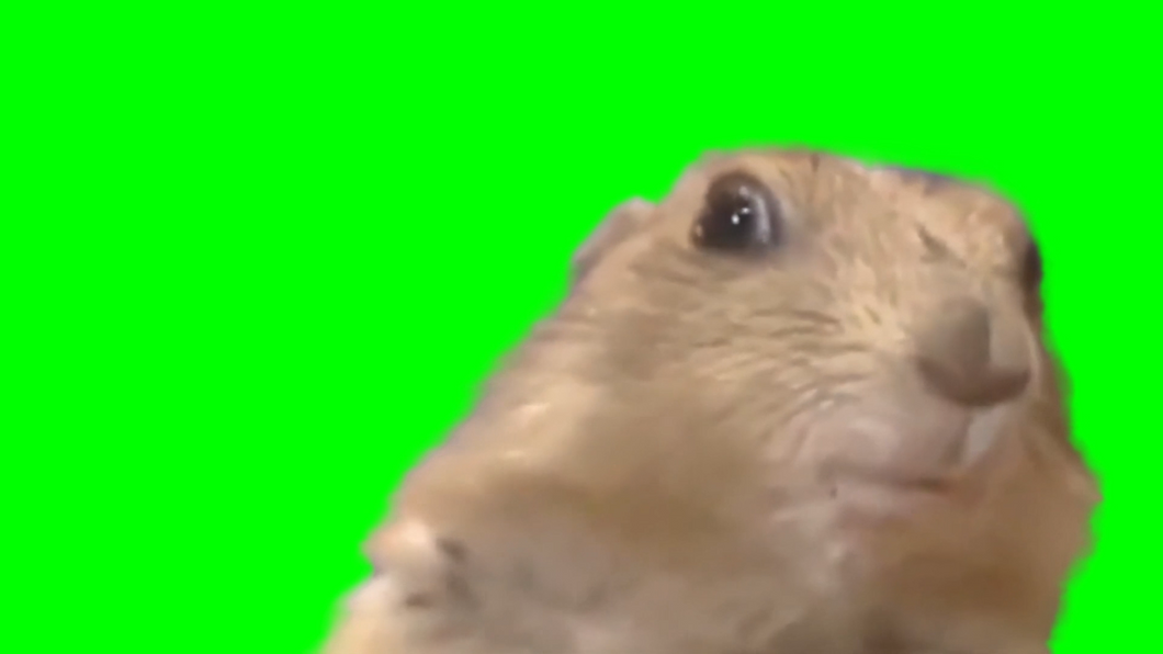 Dramatic Chipmunk meme (Green Screen)