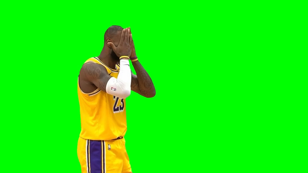 LeBron James Facepalming meme (Green Screen)