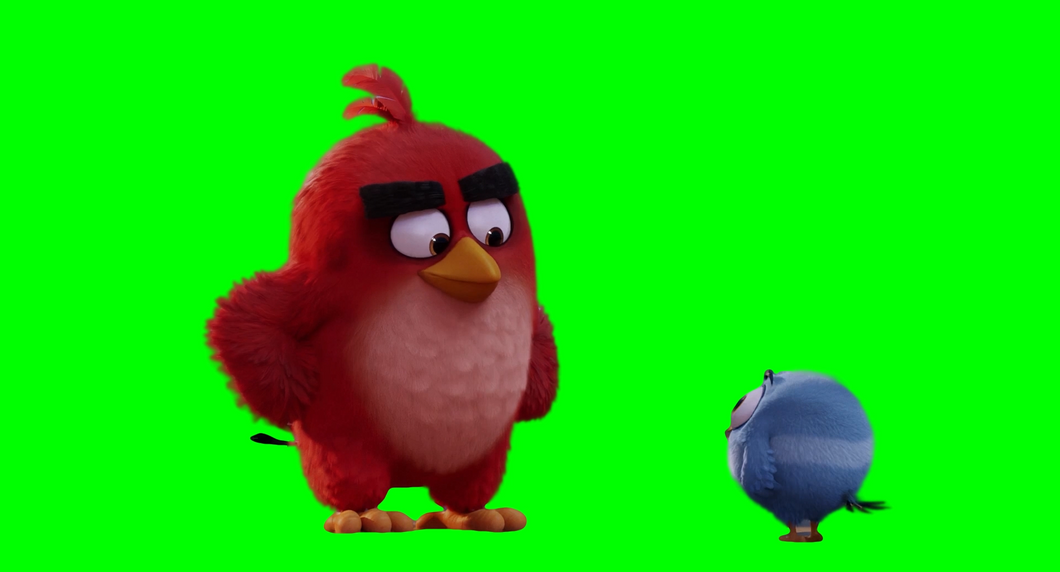 Angry Birds Football Kick - The Angry Birds Movie (Green Screen)