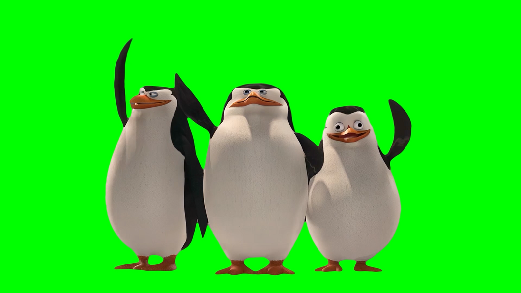 Just Smile and Wave Boys meme - Skipper the Penguin - Madagascar (Green Screen)