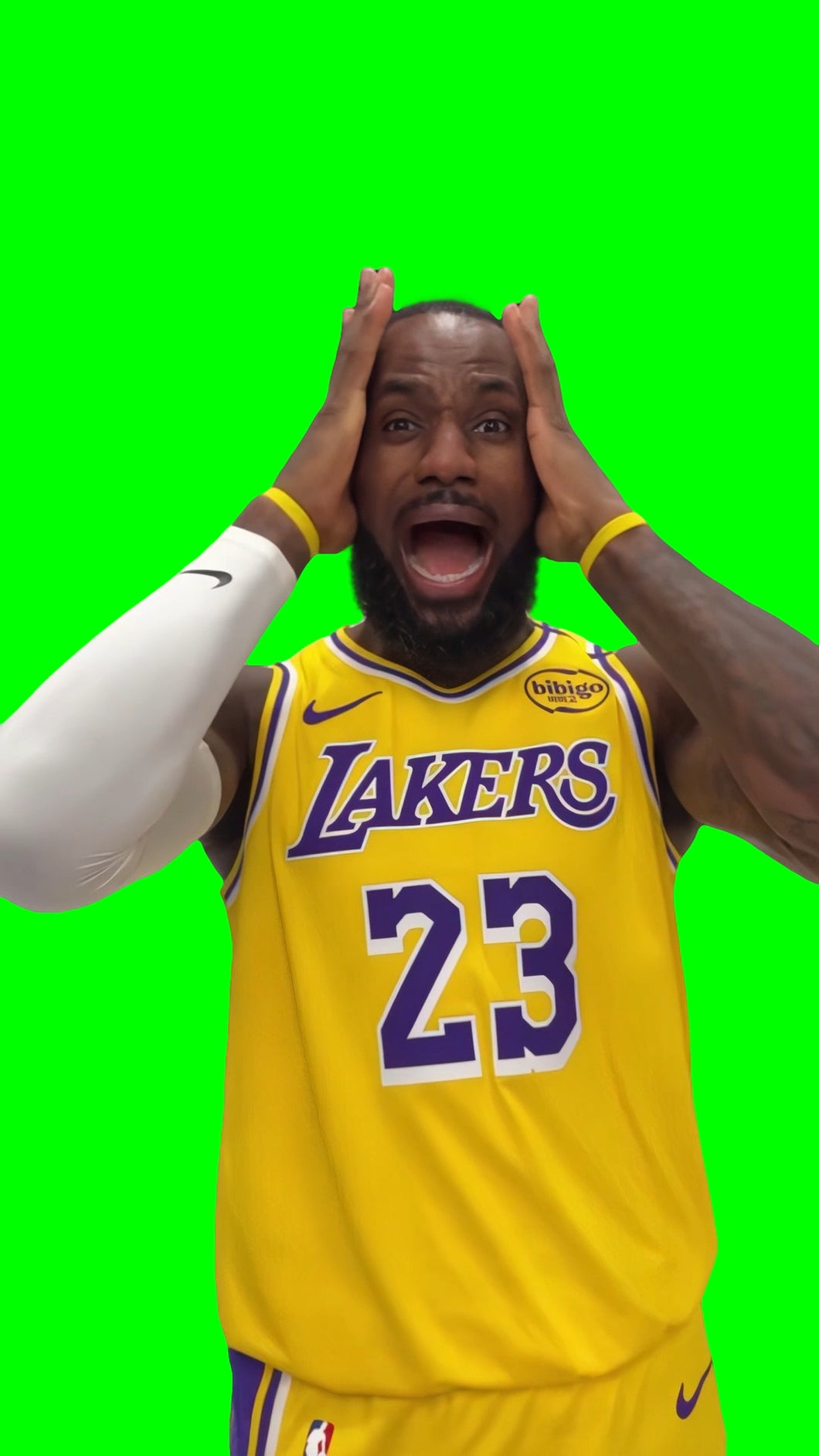 LeBron James Screaming meme - NBA Media Day 2024 (Green Screen)